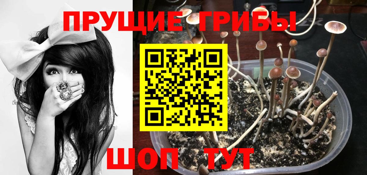 Галлюциногенные грибы мухоморы Хасавюрт