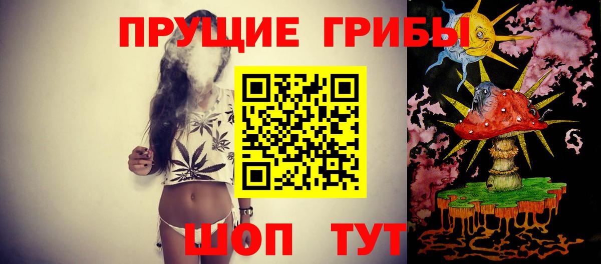 Псилоцибиновые грибы Magic Shrooms  Вход с VPN  купить наркоту  Псилоцибиновые грибы Psilocybe  Хасавюрт 