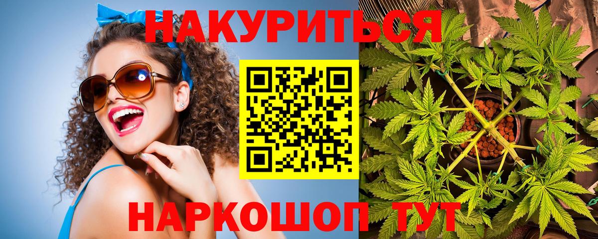 Хасавюрт  Каннабис планчик  Вход с VPN  Конопля тримм  Бошки Шишки LSD WEED  Конопля конопля 
